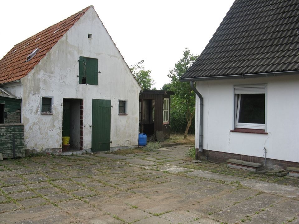 Doppelhaushälfte in Bosau in Bosau