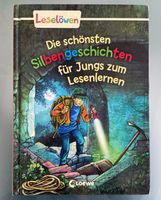 Buch zum Lesen lernen, Leselöwe, mit Silbentrennung Baden-Württemberg - Stegen Vorschau