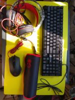 Gaming-Combo 4-in-1 Tastatur, Headset, Maus und Mousepad *NEU* Königs Wusterhausen - Wildau Vorschau