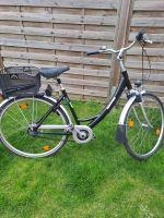 Damen Fahrrad zu verkaufen Niedersachsen - Berne Vorschau