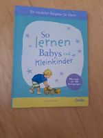 So lernen Babys und Kleinkinder Buch von Gobo Niedersachsen - Goslar Vorschau