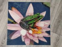 5D Mosaikbild Pixelbild Frosch 50x50cm (Diamond Painting) Baden-Württemberg - Heilbronn Vorschau