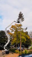 ⚠️ Raupenbühne 17m Hebebühne I Nur 0,80 cm Breit I Arbeitsbühne mieten vermieten leihen Vermietung ⚠️ Niedersachsen - Luhden Vorschau