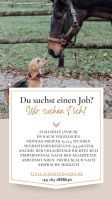 Stallhilfe (M/W/D) Raum Völklingen, 14,50€/Stunde Saarland - Völklingen Vorschau