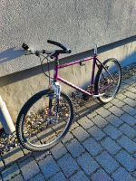 26 Zoll Herren Fahrrad 21 Gang Bayern - Regensburg Vorschau
