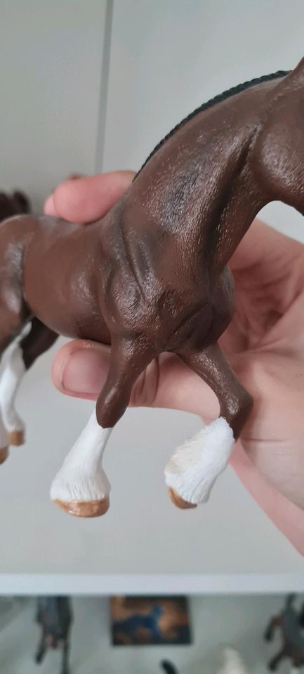 Schleich Repaints in Frankfurt (Oder)