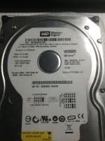 Western Digital WD 800BB, 80GB interne Festplatte Duisburg - Fahrn Vorschau