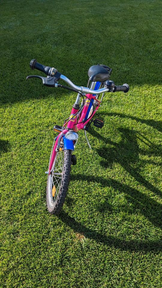 Pegasus Kinderfahrrad 20 Zoll, 3 Gang in Mengkofen