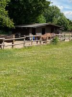 Platz frei in einem Rentner-Selbstversorger-Offenstall Bochum - Bochum-Wattenscheid Vorschau