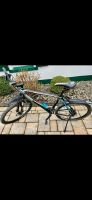 Bulls Mountainbike LT 27 Nordrhein-Westfalen - Balve Vorschau