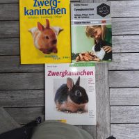Nager Handbuch Berlin - Hohenschönhausen Vorschau