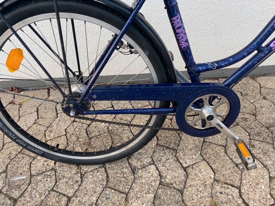 Fahrrad  Velo Schauff in Giesen