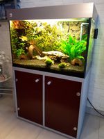 WOHA Aquarium 200 Liter mit Unterschrank und komplettem Zubehör Nordrhein-Westfalen - Gladbeck Vorschau