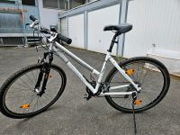 Damen Crossrad / Fahrrad Steppenwolf Tao Light West - Höchst Vorschau