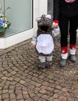 Kleinkind Karnevalskostüm Koala Plüsch 3tlg warm Gr. 1-2 J. Zwill Nordrhein-Westfalen - Bergheim Vorschau