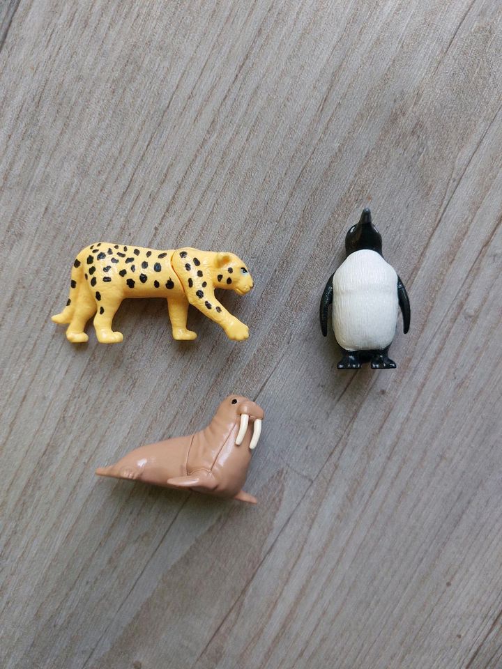 Überraschungseifiguren Üeifiguren Leopard Pinguin Seerobbe Tiere in Mötzingen