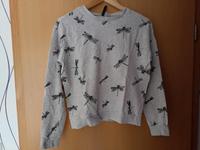 Dünner Pulli Gr. S Niedersachsen - Lauenbrück Vorschau