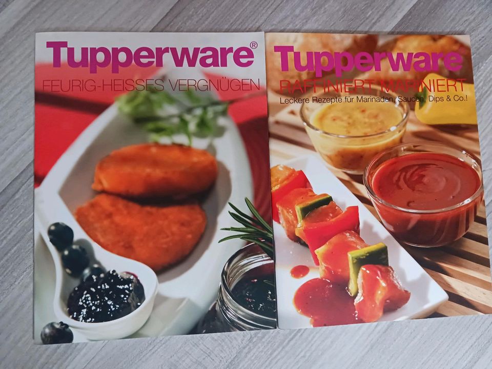 Rezepthefte Tupperware, grillen-marinieren in Erbendorf