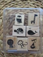 Stampin up Stempelset Fox & Friends Top Zustand Nordrhein-Westfalen - Frechen Vorschau