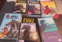 Blitz Pferde Bücher Baden-Württemberg - Markdorf Vorschau