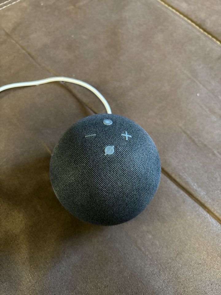 Amazon Echo Dot 5. Gen in Lindhorst
