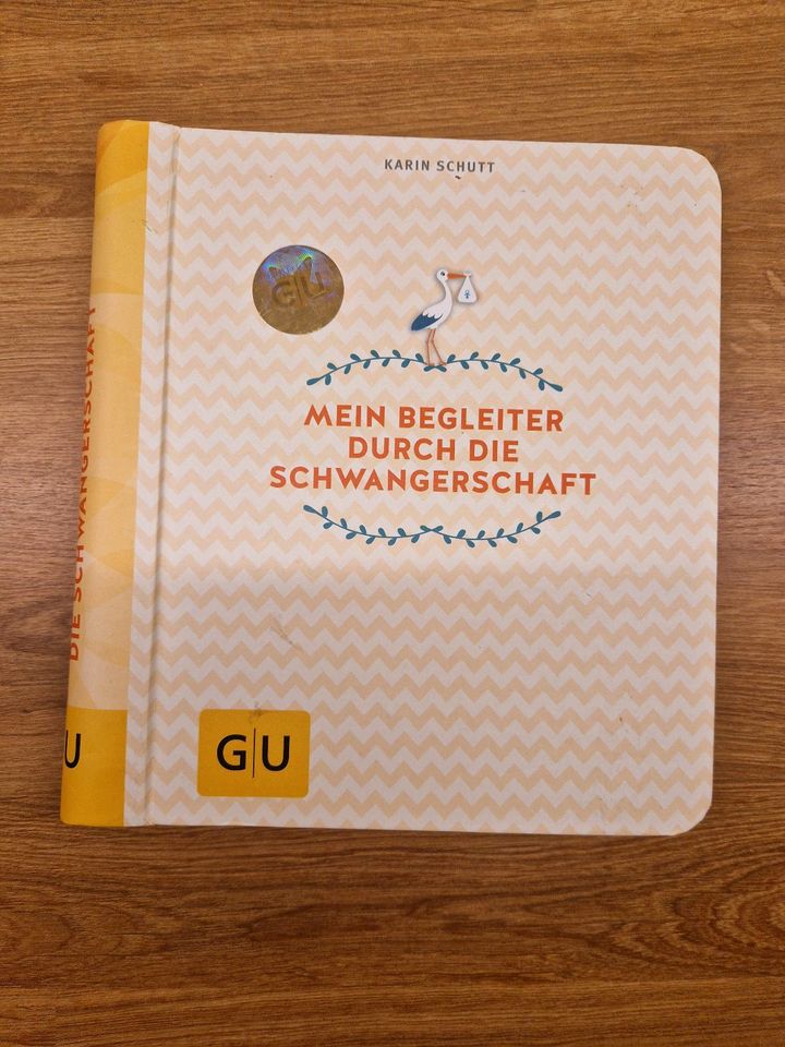 Mein Begleiter durch die Schwangerschaft Buch in Lindau