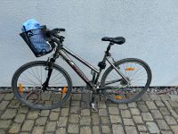 Scott Mountainbike Damenfahrrad Nordrhein-Westfalen - Kerpen Vorschau