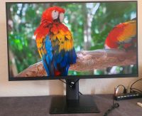 Xiaomi Mi 2K Gaming-Monitor 165 Hz, 27 Zoll Kreis Pinneberg - Elmshorn Vorschau