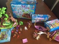 Playmobil Feen Haus Boot Kutsche 7000 7001 9136 Sachsen-Anhalt - Teuchern Vorschau