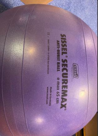 Sissel Securemax Anti Burst Ball 65cm in Birkenheide