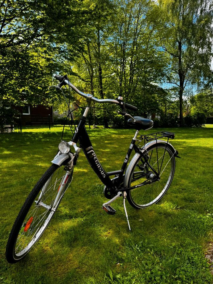 Fahrrad Pegasus in Harsewinkel