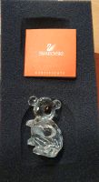 Swarovski Koala Bär in Originaldose Hannover - Misburg-Anderten Vorschau