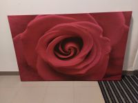 Kunstdruck Motiv "Rose" 122 × 78 cm (B x H) Baden-Württemberg - Bad Dürrheim Vorschau