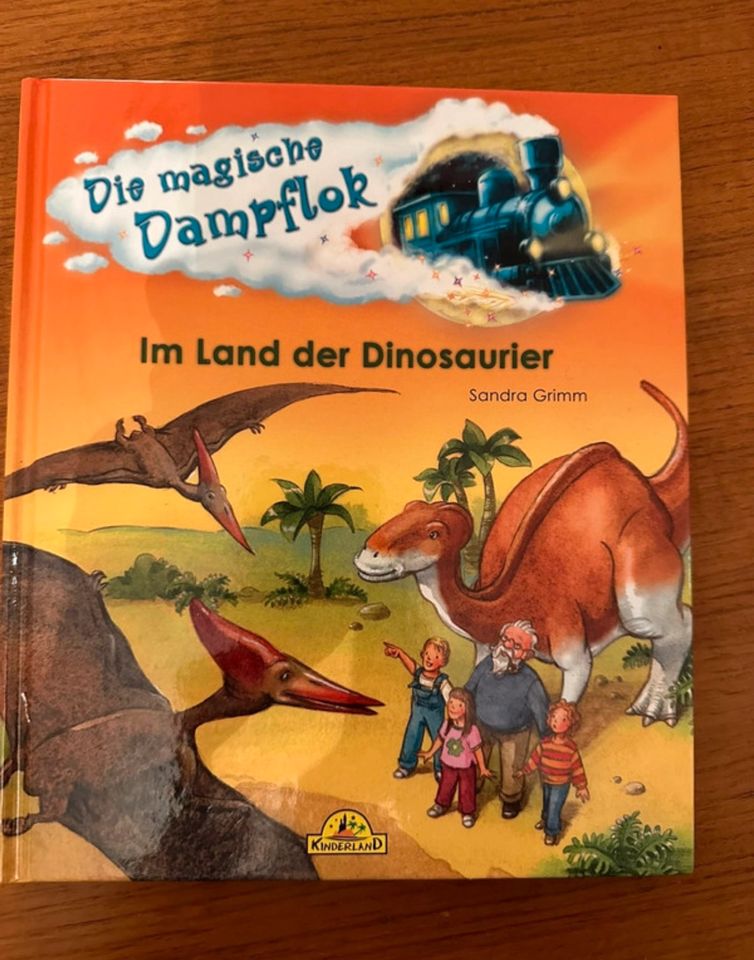 Buch „Die magische Dampflok - Im Land der Dinosaurier in Friedberg (Hessen)