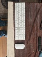 Apple Magic Keyboard und Magic Mouse 2 Nordrhein-Westfalen - Dormagen Vorschau