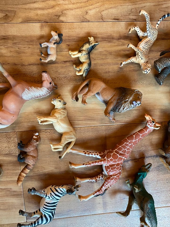 Schleich Figuren Elefant Giraffe Bär Pferd Dino in Heilbad Heiligenstadt