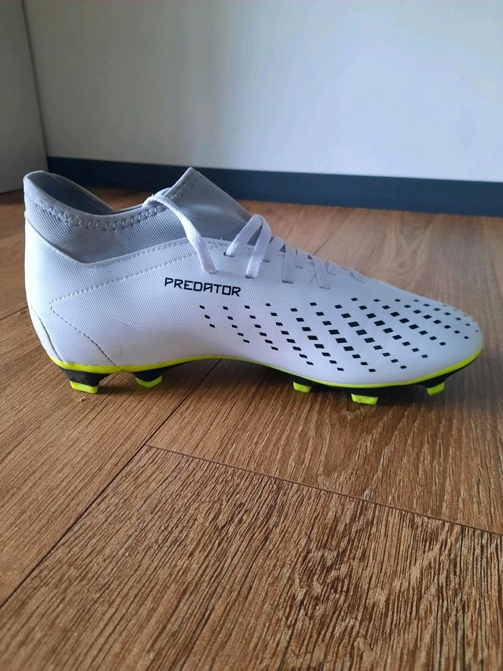 Adidas Predator Accuracy. 4 in Rheine