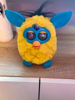 Furby zu verkaufen Hessen - Driedorf Vorschau