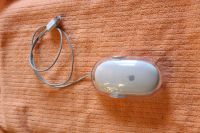 Apple Mouse Original, USB, weiß Leipzig - Großzschocher Vorschau