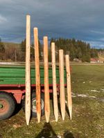 Holzpfähle Bayern - Unterthingau Vorschau