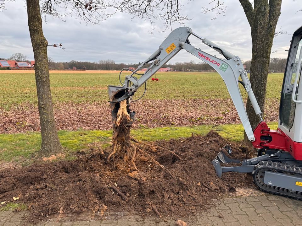 Minibagger 1,9 t mit Powertilt, mieten - leihen - Verleih TB216 in Löningen