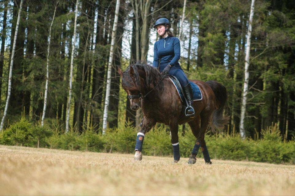 Reitbeteiligung (Reiter sucht Pferd) in Auerbach