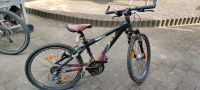 Fahrrad 24 zoll Niedersachsen - Langelsheim Vorschau