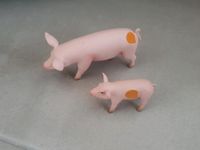 Tiptoi Spielfiguren Schwein und Ferkel Baden-Württemberg - Iffezheim Vorschau