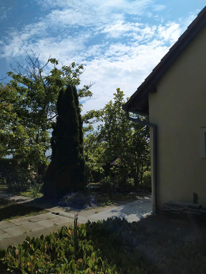 Grundstück mit Haus und Nebengebäude in Süd Ungarn zu verkaufen. in Pfronten