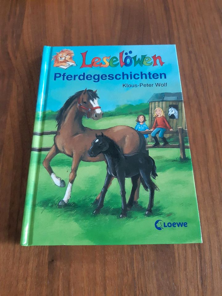 Kinderbücher Kinderbuch Pferde Geschichten Blacky Black Beauty in Erligheim