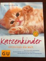 Buch Katzenkinder entdecken die Welt, 119 S, von Monika Wegler Schleswig-Holstein - Ahrensburg Vorschau