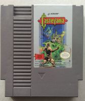 Castlevania Nintendo Entertainment System NES Rheinland-Pfalz - Neuwied Vorschau