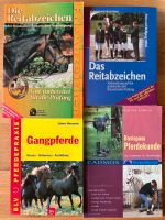 Das Reitabzeichen - Die Reitabzeichen- Basispass Pferdekunde Baden-Württemberg - Dornstetten Vorschau