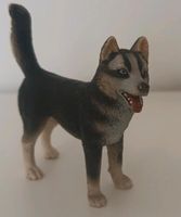 Schleich Husky und weißer Tiger Nordrhein-Westfalen - Rees Vorschau